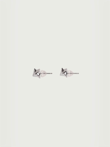 Silver Struggle Earrings