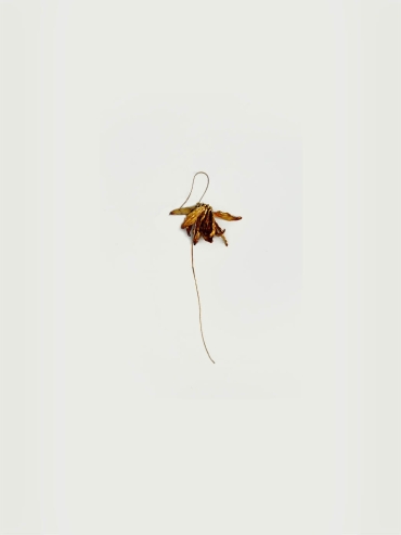 Oxidized sunflower earrings - pair