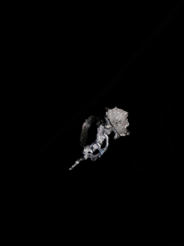 AOKINSIDE Silver Datura Ring