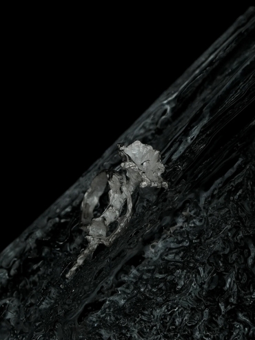 AOKINSIDE Silver Datura Ring