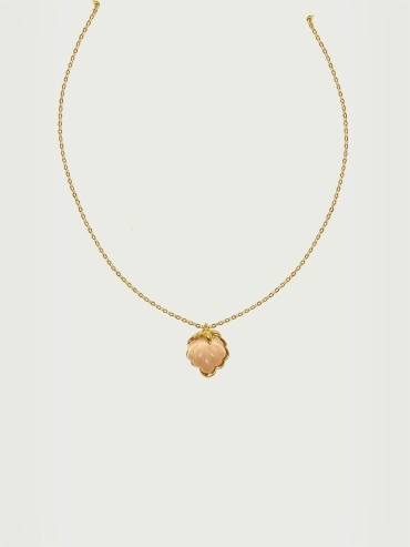 Champagne shell necklace