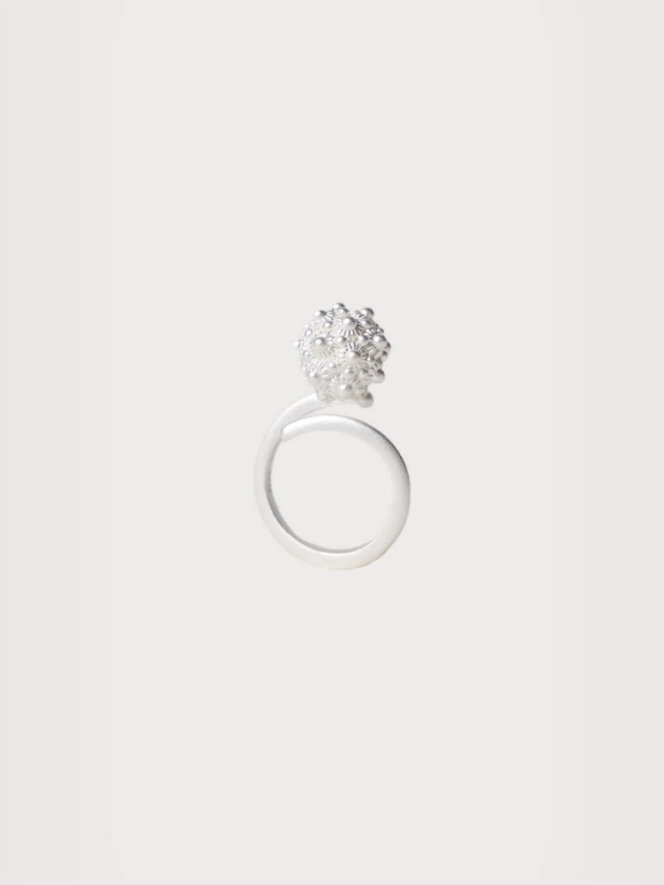 White coneflower silver ring