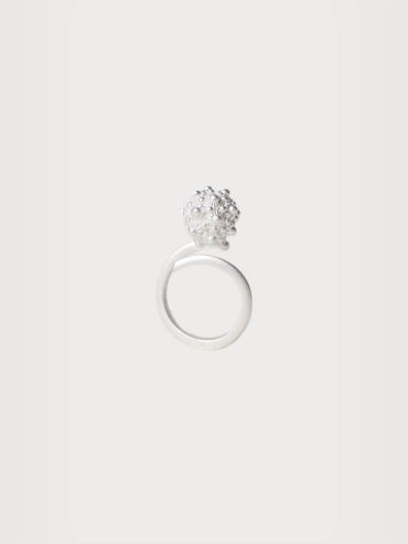 White coneflower silver ring