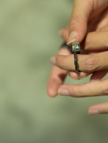 Beast coffee zircon silver ring