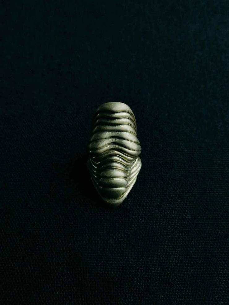 Gold Annulus Venus Ring