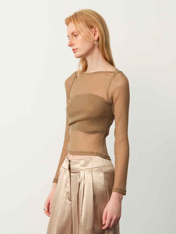 Brown Starry Sheer Mesh Fitted Top