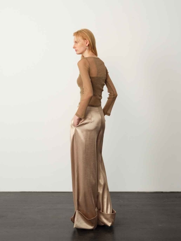 Brown Starry Sheer Mesh Fitted Top