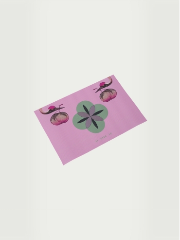 Crane & Longevity peach placemat set