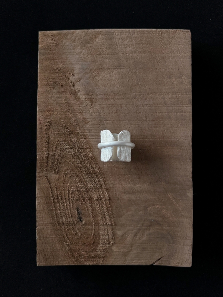 Tree bark ring set