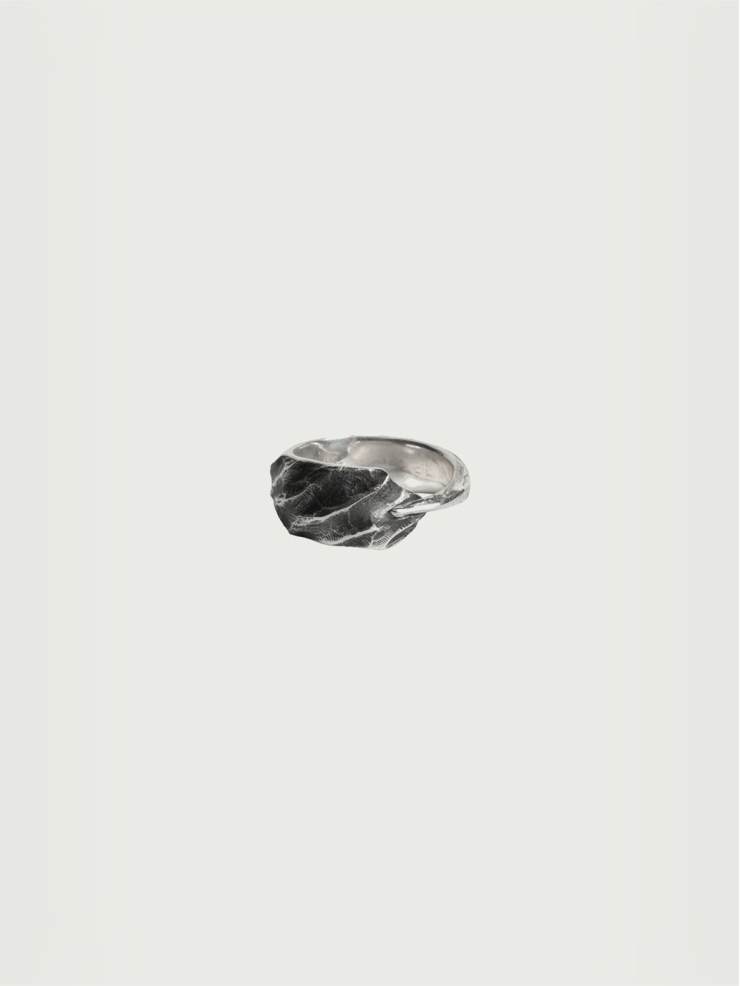 Wind collection silver ring