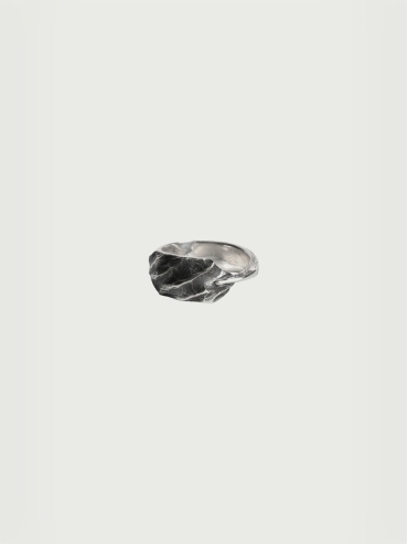 Wind collection silver ring