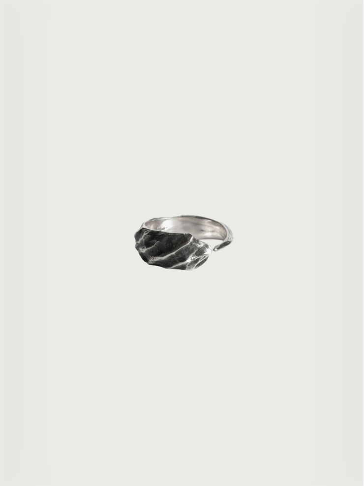 Wind collection silver ring