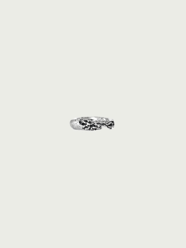 Alter ring