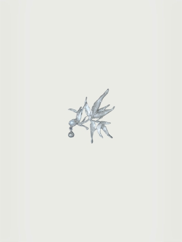 Silver bamboo ear clip - single