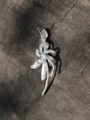 Cymbidium Orchid Stud Earring - single