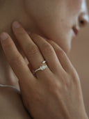 Silver Chestnut Ring