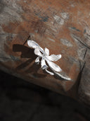 Cymbidium Orchid Stud Earring - single