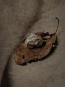 prestashop:1:2192:15423 | Silver leaf and pearl ring