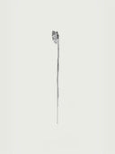 prestashop:1:2238:9098 | Silver female butterfly earring - single