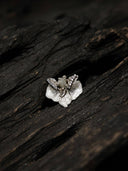 prestashop:1:3009:15590 | Sliver Leafless Butterfly Orchid Ring