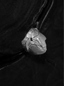prestashop:1:3360:15627 | White Long Teardrop Split Ring