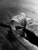 prestashop:1:3360:15631 | White Long Teardrop Split Ring