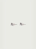 prestashop:1:3569:12143 | Silver Struggle Earrings