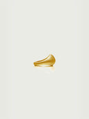prestashop:1:3965:13461 | Gold Textured Shield Ring