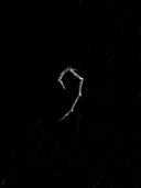 prestashop:1:4559:21993 | Small Hook Earrings