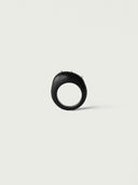 prestashop:1:4596:22143 | Ju,Ebony and Silver Ring( Small-L)