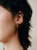 prestashop:1:4601:22116 | Wishful Gourd, Medium Zebra Wood Sterling  Silver Stud Earrings