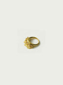 prestashop:1:5156:25073 | Gold Rain Pine Ring