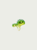 prestashop:1:5172:25019 | Green Nivorus Plant Ring