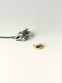 prestashop:1:5267:26475 | Genesis-Seed Magnetic Earrings