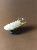 prestashop:1:5268:26460 | Genesis-Pod Hoops