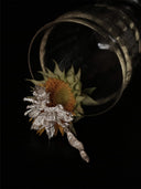 prestashop:1:535:2088 | Silver Wind Eroded Sunflower Earrings