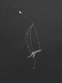 prestashop:1:5418:26255 | Winged Chant Necklace