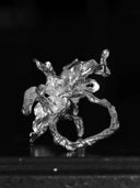 prestashop:1:5420:26244 | Ephemeral Bloom Ring