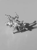 prestashop:1:5420:26247 | Ephemeral Bloom Ring