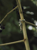 prestashop:1:5515:26975 | Seeping Form Pale Sprout Earring