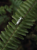 prestashop:1:5515:26976 | Seeping Form Pale Sprout Earring