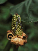 prestashop:1:5516:26977 | Seeping Form Cinder Drip Earrings