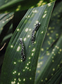 prestashop:1:5516:26978 | Seeping Form Cinder Drip Earrings