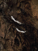 prestashop:1:5517:26974 | Seeping Form Ivory Drip Earrings
