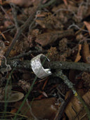 prestashop:1:5520:26931 | Glacial Crest Ring