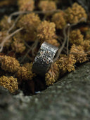 prestashop:1:5521:26934 | Ember Ridge Ring