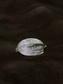 prestashop:1:5593:27305 | White Leaf Whisper Ring