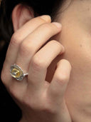 prestashop:1:5672:27636 | Silver Void Ring