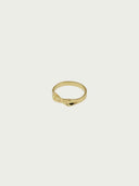 prestashop:1:5809:28517 | Gold Nourish Ring Set