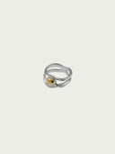 prestashop:1:5812:28502 | Core Ring